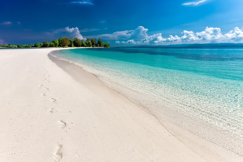 Beachfront Ceremony Image